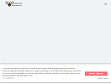 Tablet Screenshot of majamatevzic.com